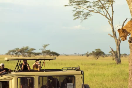 14 Days Tanzania Mainland Safari Experience
