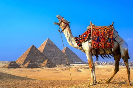 8 Days Egypt tour package from Cairo