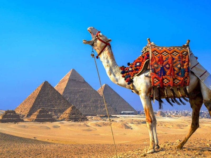 8 Days Egypt tour package from Cairo