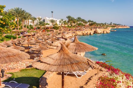8 Days Egypt Tour Package from Cairo to Sharm El Sheikh